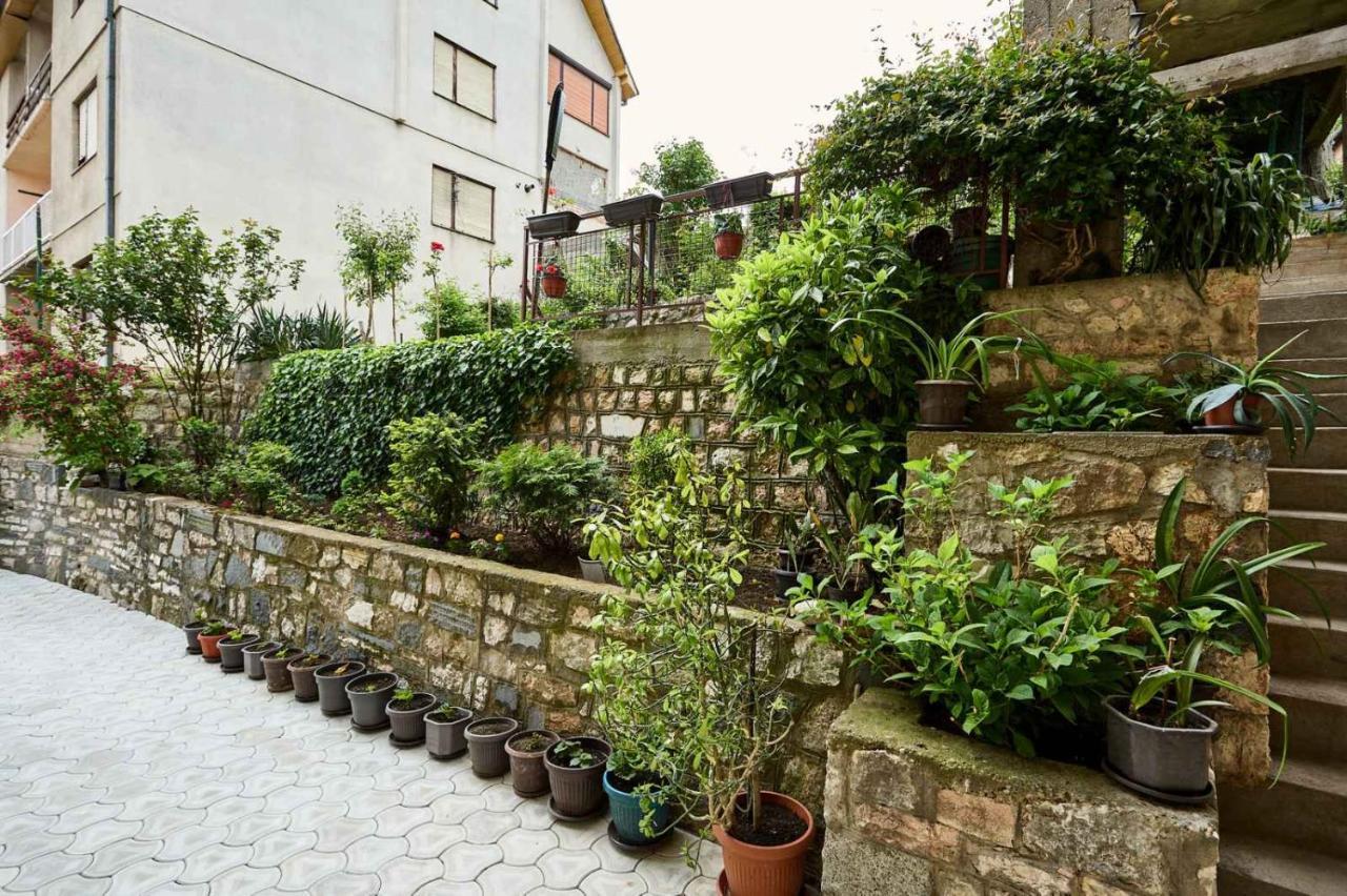 Apartmani Dr. Gasa Sokobanja Exterior foto